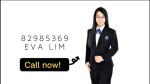 Lim Eng Hua profile