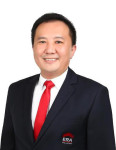 CH Tan profile