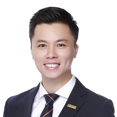 IBSEN NG profile