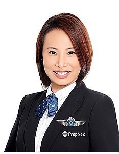 IRENE SIM BENG CHOO (IRENE JOAN SIM B C) profile