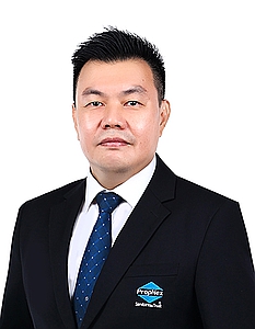 TAN WEI CHONG (VICTOR TAN) profile