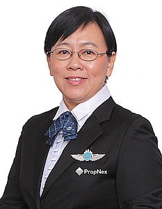 LIM TECK NOI (JUNE LIM) profile