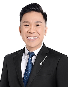 WONG WENG HOE (DAVID WONG) profile