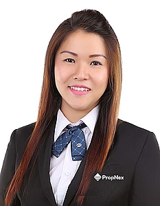 TAN SIEW GIN (VION TAN) profile
