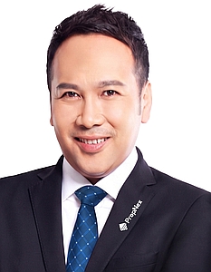 TAN KWANG PHENG (LOUIS TAN) profile
