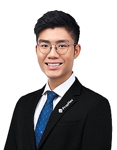 REMUS TAN HONGWEI (REMUS) profile