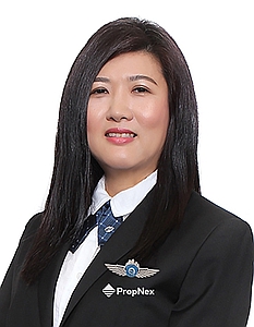 TAN SIEW KHIM profile