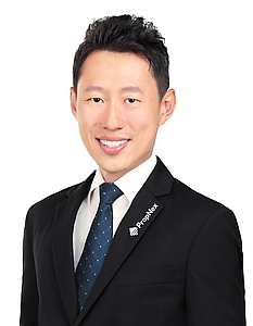 LEE SENG WEE (RAY) profile
