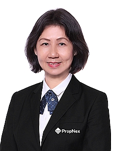 TAN CHIN KIM (C K TAN) profile