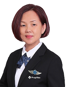 VU MEI I (MARY VU) profile