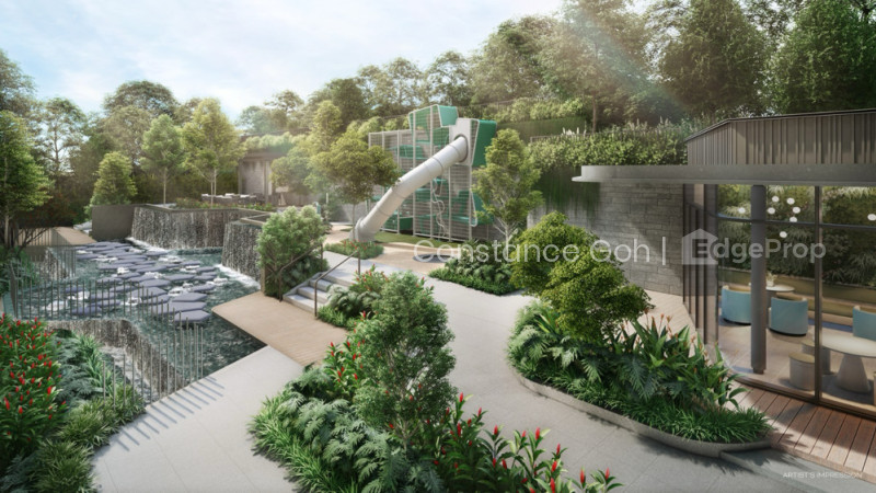 TERRA HILL photo 6