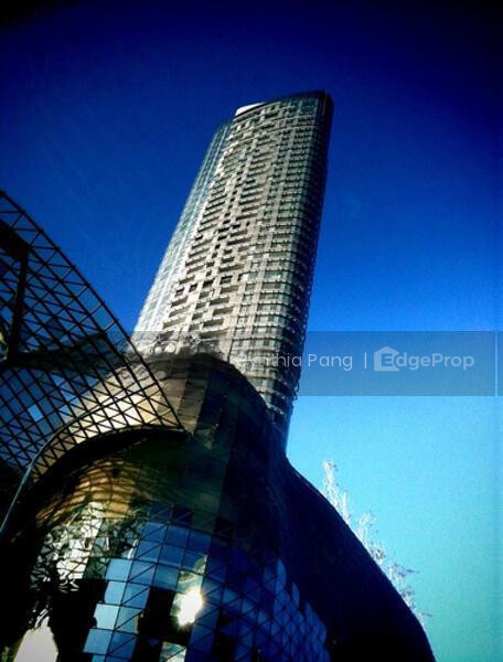 THE ORCHARD RESIDENCES photo 6