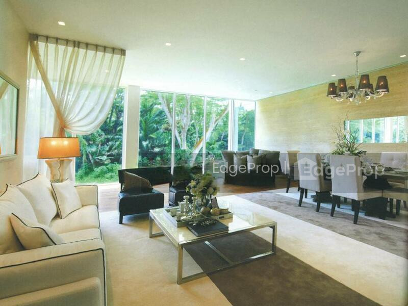 THE CANOPY photo 5