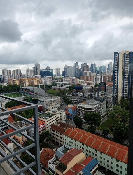 STURDEE RESIDENCES photo 2
