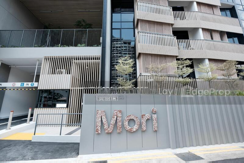 MORI photo 6