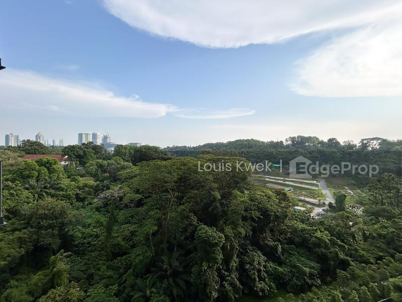 NORMANTON PARK photo 3
