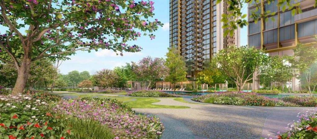 PINETREE HILL 9