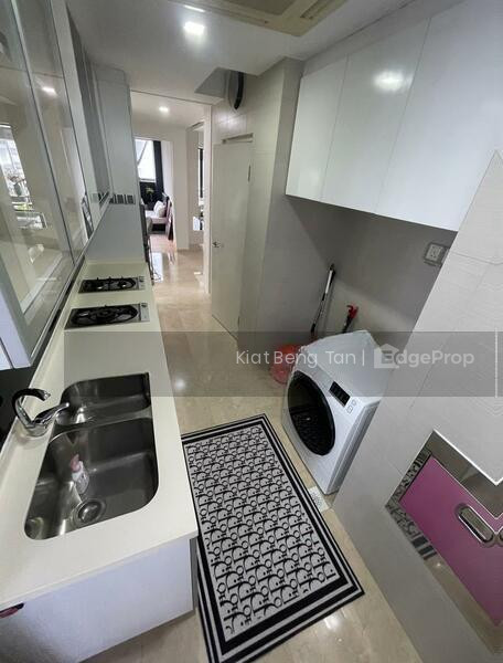 Angullia Park Residences @ Orchard photo 6