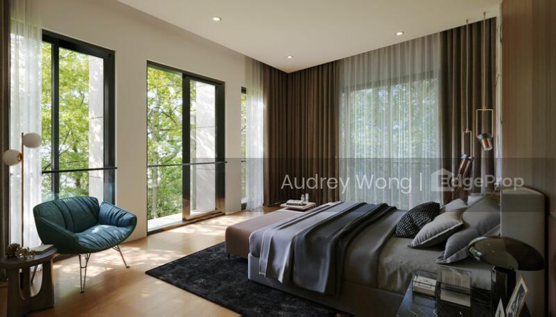 LUXURIOUS BUNGALOW @ CHANCERY/ MT ROSIE/ GOLDHILL/ NOVENA MRT/ STEVENS MRT photo 5