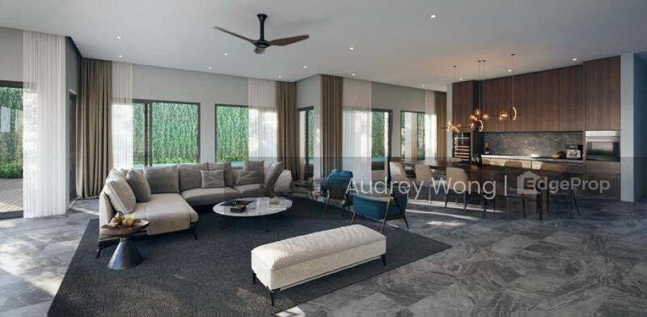 LUXURIOUS BUNGALOW @ CHANCERY/ MT ROSIE/ GOLDHILL/ NOVENA MRT/ STEVENS MRT photo 6