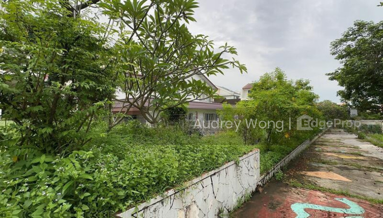 2 STOREY DETACHED @ KOVAN, CHIAP GUAN, JANSEN, HILLSIDE, LEIGH ROAD, LANGE ROAD photo 4