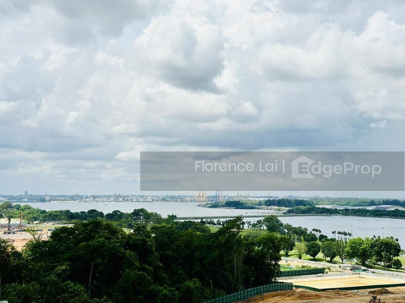SKIES MILTONIA photo 5