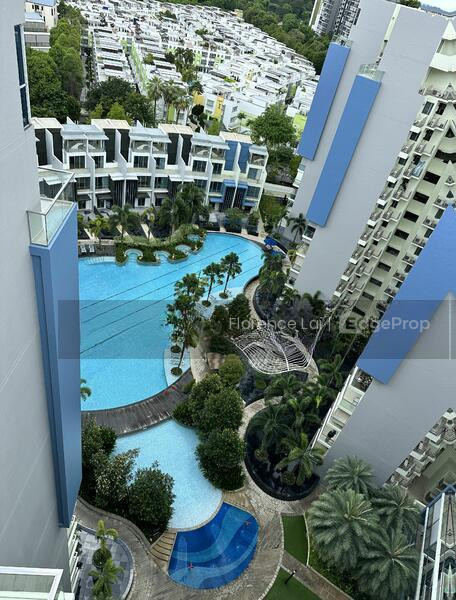 SKIES MILTONIA photo 6