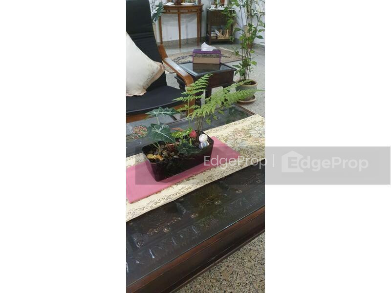 BRADDELL VIEW photo 4