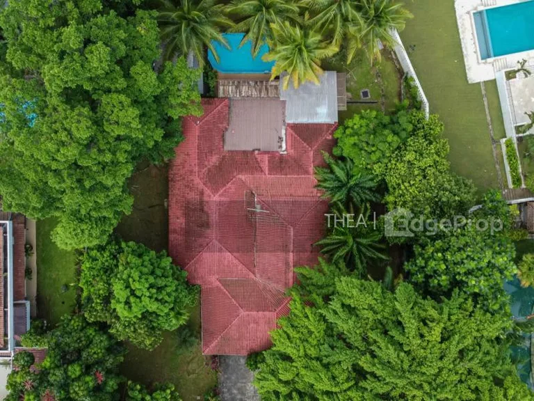 Bukit Timah Near Botanic Garden 植物园 Greenery Facing image 1 of 6