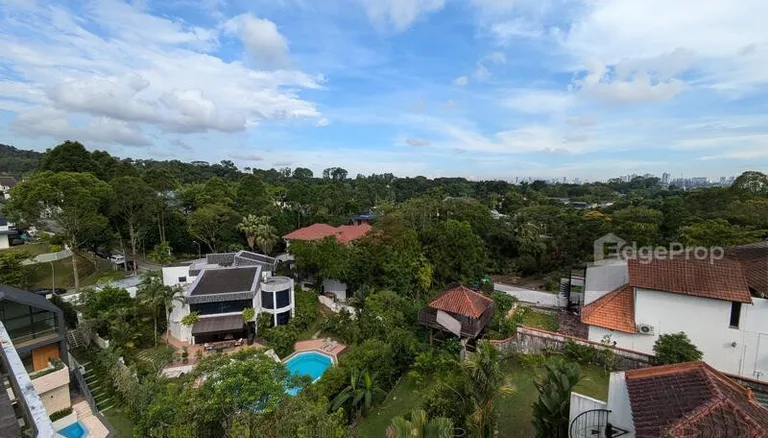 Bukit Timah Bungalow Plot 8321.8433 image 1 of 1