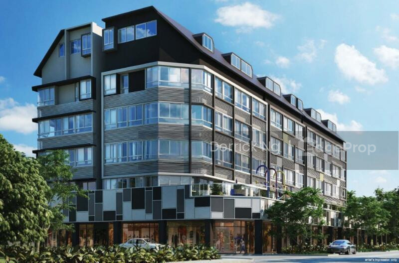 SYCAMORE TREE photo 5