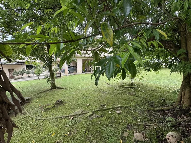 Rare Extremely Huge Freehold Bungalow With Super Wide Frontage & Regular Land image 1 of 5