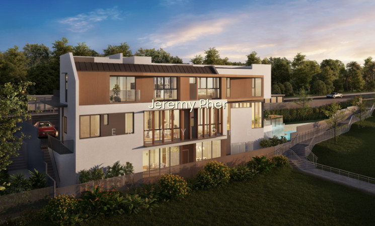 BRAND NEW LANDED VILLA @ OLD TAMPINES ROAD photo 6