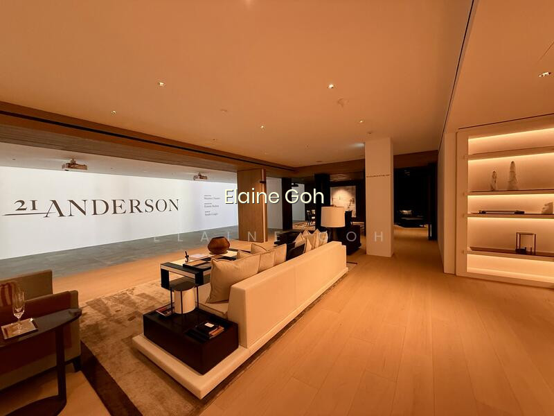 21 ANDERSON photo 6