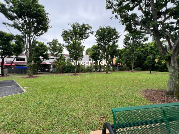 PARK FACING FREEHOLD TERRACE photo 3