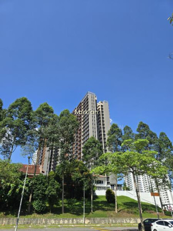 AMO RESIDENCE 7