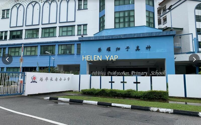 THE SEN photo 3