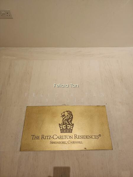 THE RITZ-CARLTON RESIDENCES photo 4