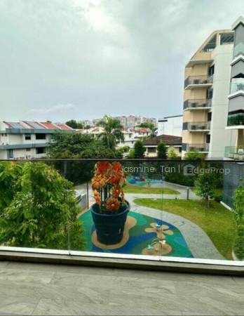 THE GAZANIA photo 6