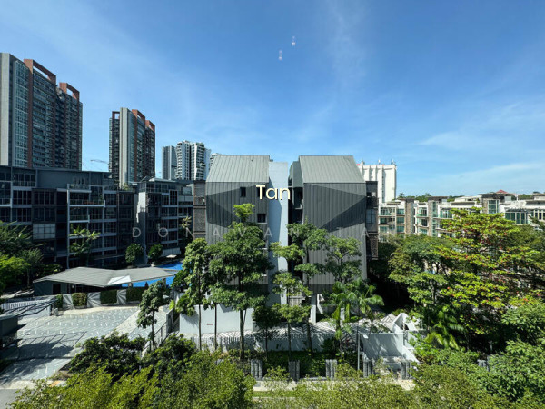 38 JERVOIS photo 6