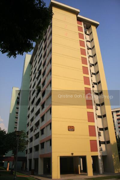 524 JURONG WEST STREET 52 photo 4