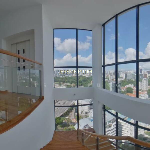 LUCIDA photo 6