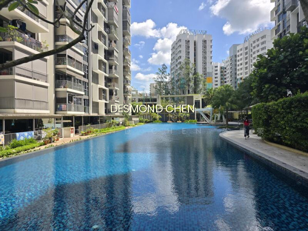 BLOSSOM RESIDENCES photo 5