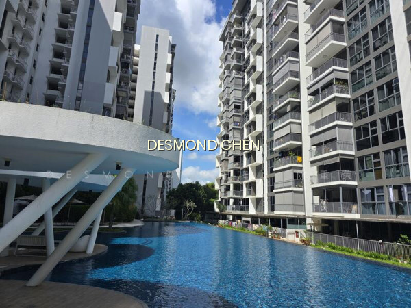 BLOSSOM RESIDENCES photo 6