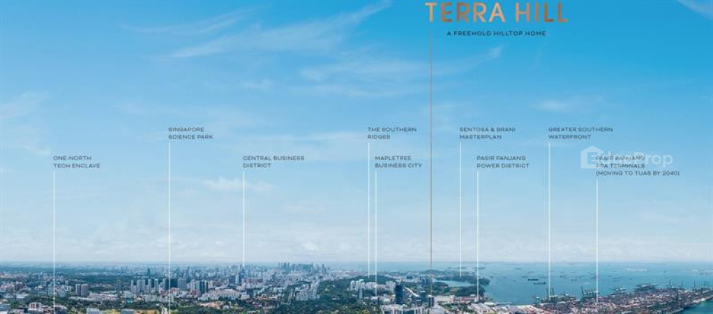 TERRA HILL photo 6