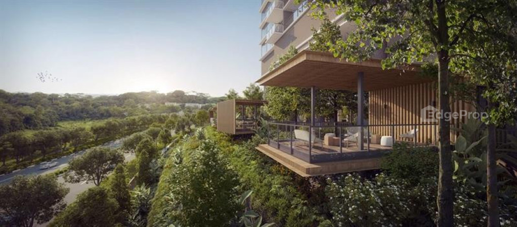 NAVA GROVE photo 6