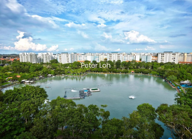 547 PASIR RIS STREET 51 photo 5