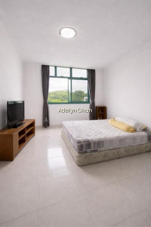 478 SEGAR ROAD photo 5