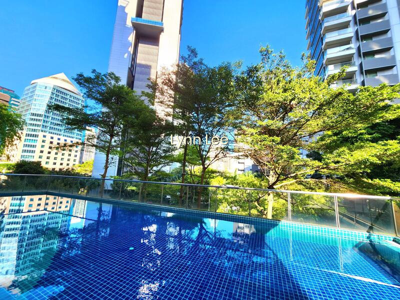 Angullia Park Residences @ Orchard photo 2