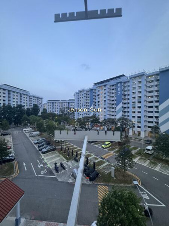 609 GOLDEN CASSIA photo 6